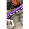Image 2 : PURPLE SUPERCYCLE YOUTH BIKE