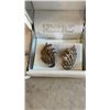 Image 2 : 2 SILVER .925 RINGS SIZE 7.5 AND 11 WITH PAIR OF .925 EARRINGS