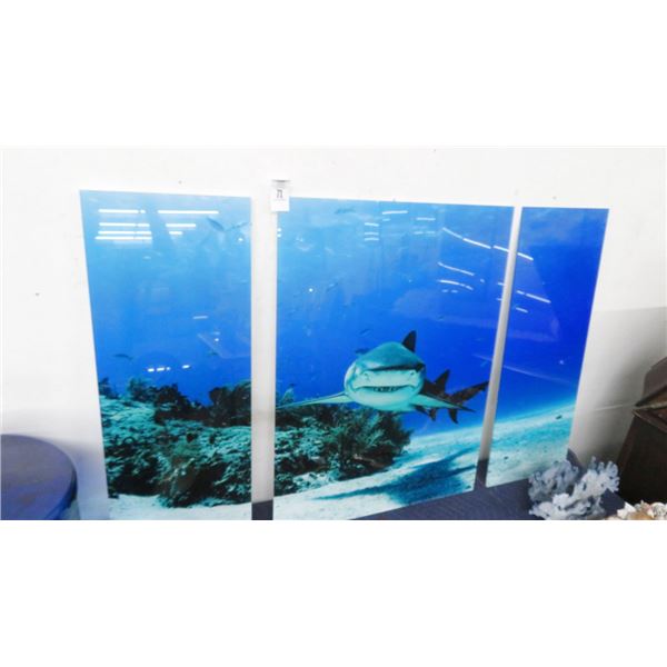 Bull Shark 3 Pc Photography On Acrylic By Christopher Doherty - 32" x 48"