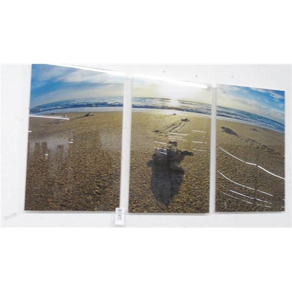 Baby Sea Turtles 3 Pc. Photography Acrylic By Christopher Doherty - 24" x 48"