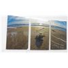 Image 1 : Baby Sea Turtles 3 Pc. Photography Acrylic By Christopher Doherty - 24" x 48"