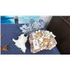 Image 1 : Lot of Seashell Chest, Conch Shell & Coral