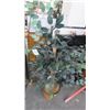 Image 1 : Silk Plant In Woven Planter