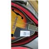 Image 2 : Mandolin w/Case