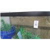 Image 2 : Large Fish Tank w/Cabinet Base