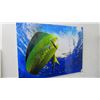 Image 1 : Dolphin Photo On Acrylic By Christopher Doherty - 24" x 36"