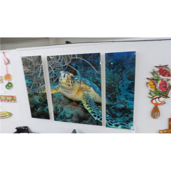 Sea Turtle 3 Pc. Photo On Acrylic by Chistopher Doherty - 31" x 48"