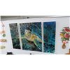 Image 1 : Sea Turtle 3 Pc. Photo On Acrylic by Chistopher Doherty - 31" x 48"