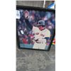 Image 1 : Framed Autographed Red Sox Player Photo - 22" x 18"