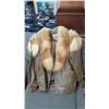 Image 7 : J Percy Leather / Fur Coat (Fox?)