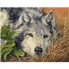 Image 1 : NEW DIY PAINT BY NUMBERS KIT WOLF