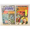 Image 1 : CAPT SAVAGE #19 & SGT FURY #129