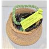Image 1 : ESTATE SAGE BASKET & VINTAGE BEADED LANYARDS