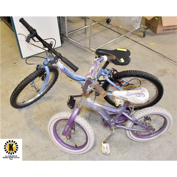 RAVE NEXT KIDS BIKE AND BRIGETTE SPORTS TEK BIKE