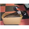 Image 1 : CARDBOARD LOON DECOYS