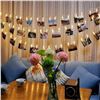 Image 1 : TOMSHINE 40 LED PHOTO CLIP STRING LIGHTS