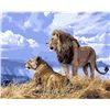 Image 1 : NEW SEALED ABEAUTY DIY PAINT BY NUMBERS, LION AND