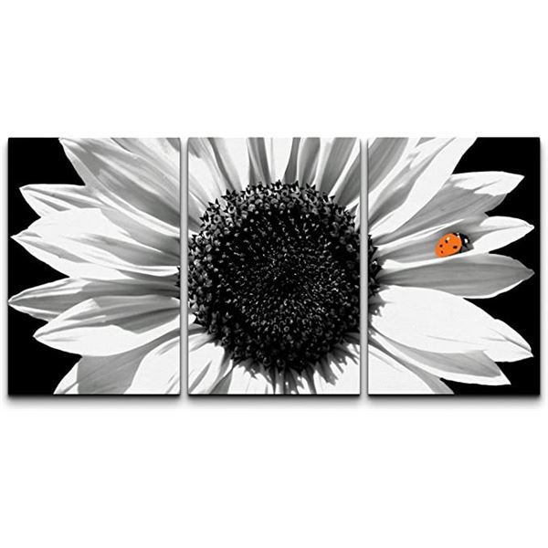 NEW 3PC BLACK & WHITE SUNFLOWER DESIGNER ARTWORK