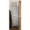 Image 1 : 8' EXTENSION LADDER