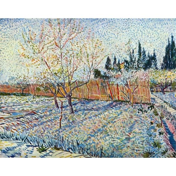 Van Gogh - Orchard With Cypress