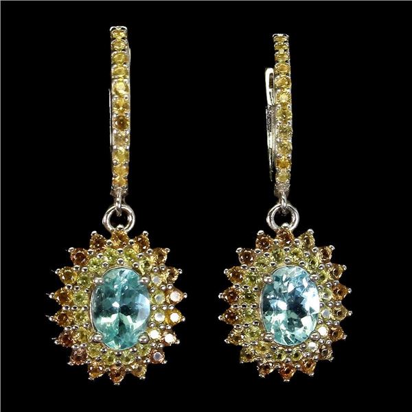 Natural Brazil Paraiba Apatite & Sapphire Earrings