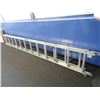Image 1 : Werner Aluminum 20' Extension Ladder