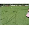 Image 2 : Artificial Turf