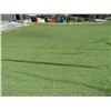 Image 3 : Artificial Turf