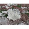 Image 3 : Landscape Rocks (All)