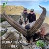 Image 1 : Sierra Nevada Ibex Hunt - Spain - Iber Hunting