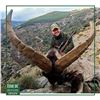Image 2 : Sierra Nevada Ibex Hunt - Spain - Iber Hunting