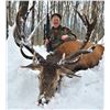 Image 2 : Camp Freedom Unlimited Red Stag or Elk or Whitetail Deer 3 Day Hunt