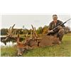 Image 3 : Camp Freedom Unlimited Red Stag or Elk or Whitetail Deer 3 Day Hunt