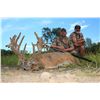 Image 4 : Camp Freedom Unlimited Red Stag or Elk or Whitetail Deer 3 Day Hunt