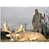 Image 5 : Camp Freedom Unlimited Red Stag or Elk or Whitetail Deer 3 Day Hunt