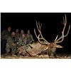 Image 8 : Camp Freedom Unlimited Red Stag or Elk or Whitetail Deer 3 Day Hunt