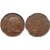Image 1 : 1794 S-68 R5 Head of 1795 NGC graded MS62 Brown