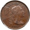Image 2 : 1794 S-68 R5 Head of 1795 NGC graded MS62 Brown