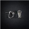 Image 2 : 2.8 DWT 14 KT Wht Gold w/ Dimd Lining Earrings