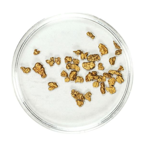 Lot of Gold Nuggets 2.00 Grams Total Weight