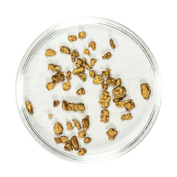 Lot of Gold Nuggets 2.33 Grams Total Weight
