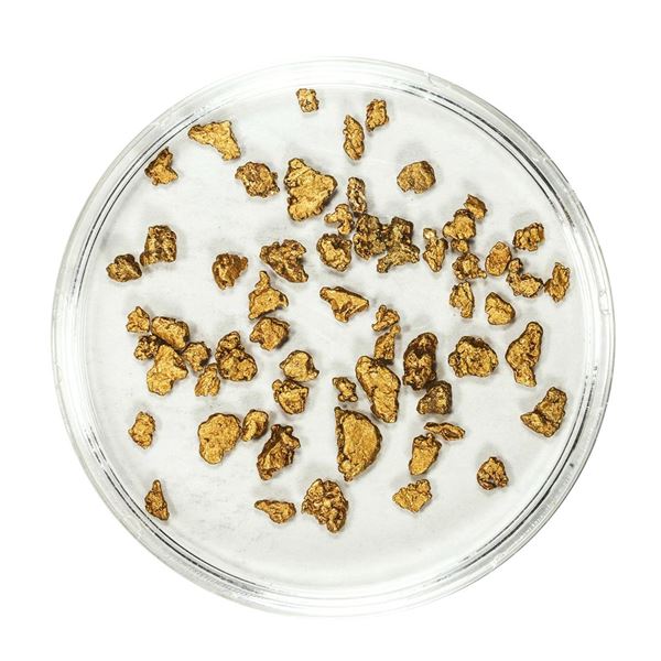 Lot of Gold Nuggets 2.95 Grams Total Weight