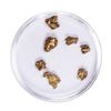 Image 1 : Lot of Gold Nuggets 2.27 Grams Total Weight