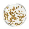 Image 1 : Lot of Gold Nuggets 2.76 Grams Total Weight