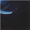 Image 3 : Wyland "Ocean Realm" Limited Edition Cibachrome On Board