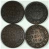 Image 1 : 1901 Large Cent Group Group Lot of 4 EF or better