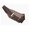 Image 3 : Louis Vuitton Damier Ebene Canvas Geronimos Waist Bag