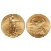 Image 1 : 2010 $5 American Gold Eagle Coin