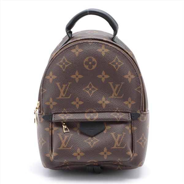 Louis Vuitton Brown Monogram Canvas Leather Mini Palm Springs Backpack