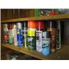 Image 1 : ASST. SPRAY PAINTS